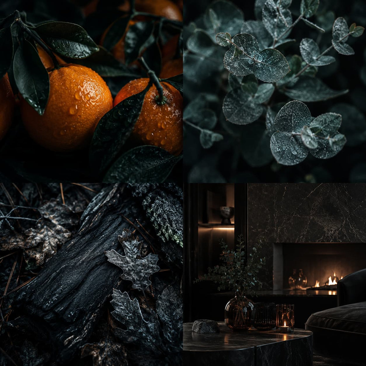 A dark moody collage of natural and interior scenes: two oranges with wet leaves in the top left, close-up eucalyptus leaves in the top right, textured dark bark and leaves in the bottom left, and a dimly lit living room with a fireplace in the bottom right.