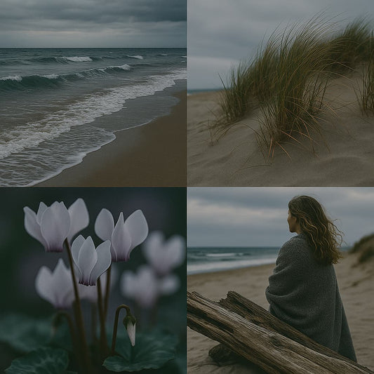 A serene coastal collage featuring windswept waves on a quiet beach, dune grasses swaying under grey skies, delicate cyclamen flowers, and a woman wrapped in a blanket gazing out to sea, capturing the cool, grounding calm of Rock Salt & Driftwood.